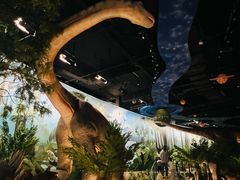 -陕西自然博物馆