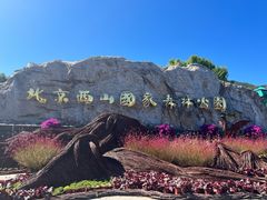 -北京西山国家森林公园