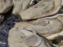 -77号渔船·蒸海鲜青岛菜(积米崖店)