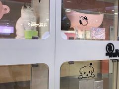 -北国商城