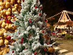 -HERRE·FARM 赫尔露营农场·团建聚会包场