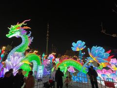 -花博汇(知音花月夜)