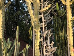 -南通洲际绿博园