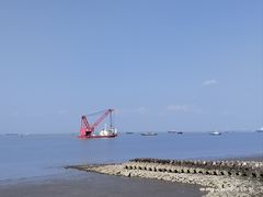 -上海滨江森林公园