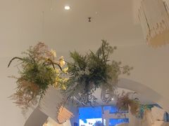 -春树下·树屋花房西餐厅(罍街AS1980店)