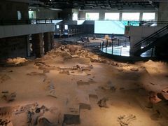 -自贡恐龙博物馆