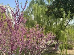 -白塘生态植物园