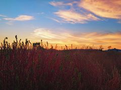 -映月湖中央公园