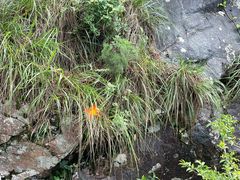 -明堂山风景区