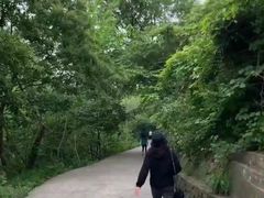 -紫金山山顶公园