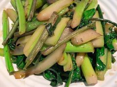 红菜苔-麓湘小镇(开福万达广场店)