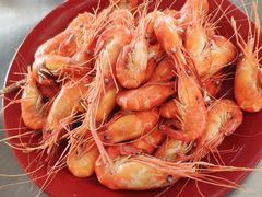 -小象钓虾·营地烧烤(洛溪店)