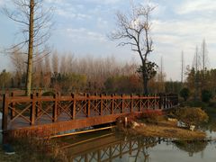 -黄海国家森林公园