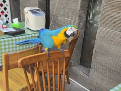 -观桥阁(锦溪店)