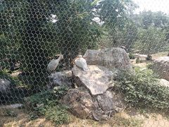 -石家庄市动物园