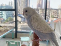 -怪兽屋·羊驼·猫咖·狗咖(俊华广场店)