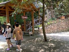 -浙北大峡谷