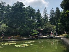 -庐山风景区花径公园