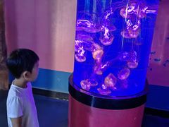 -烟台海昌鲸鲨海洋公园