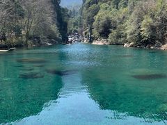 -石台牯牛降景区