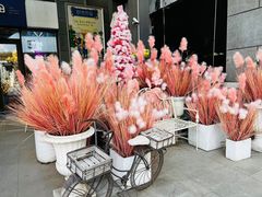 -中粮·祥云小镇