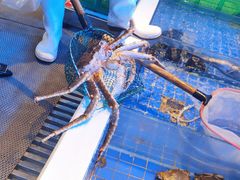 -金苑海鲜酒家(来魅力店)