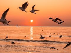 -老虎石海上公园