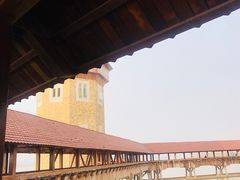 -九龙湖公园