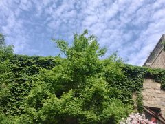 -云丘山景区