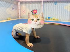 -星舰梦航(广百广场荔胜店)