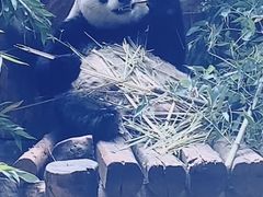 -石家庄市动物园