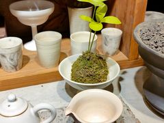 -自由生长植物工作室(深港花卉中心店)