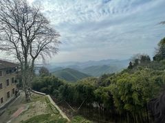 -莫干山风景区