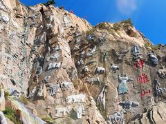 -西霞口神雕山野生动物世界