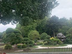 -上海鲜花港