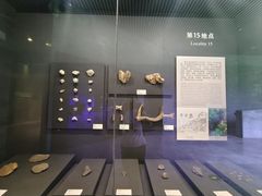 -北京周口店北京人遗址博物馆