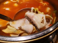 黑鱼-酸喜·三度酸·贵州味