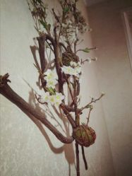 -爱美丽科技美肤中心