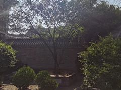 -台儿庄古城