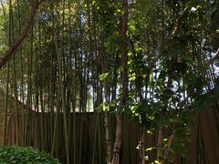 -春晖园度假酒店温泉