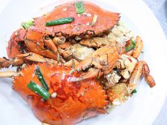 -旅南活海鲜-屏东(墾丁海鮮，海鮮餐廳，墾丁團體合菜，平價熱炒，墾丁熱炒店，活海鮮推薦，在地海鮮餐廳)