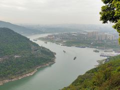 -铁山坪森林公园