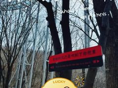 -帽儿山风景区