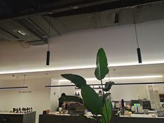 -野鸽子咖啡(中航店)