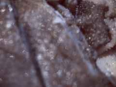 -北门涮肉·炭火铜锅涮肉(什刹海店)