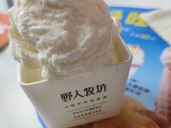 -野人牧坊Gelato(天津南开大悦城店)