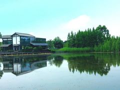 -白鹭湾湿地公园