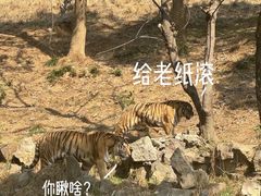 -杭州野生动物世界