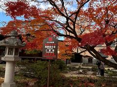 -医王山·飞騨国分寺