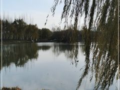 -西安浐灞国家湿地公园